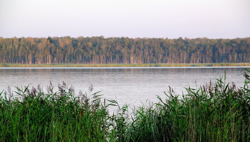 Озеро Горькое (Хомутининское)