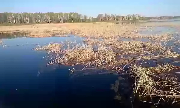 Озеро Большой Кременкуль