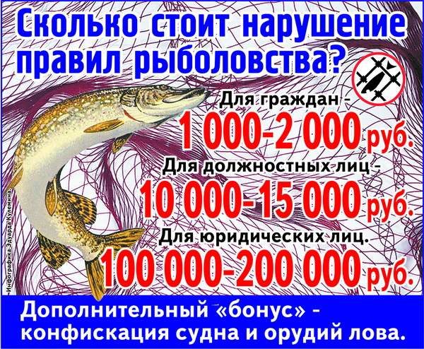 НЕрестовый запрет2019 в челябинской области