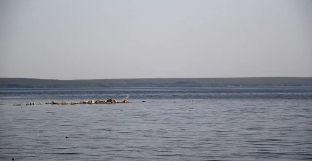 Базы отдыха на озере Увильды