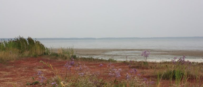 Озеро Горько-Соленое