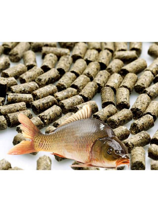 Комбикорма для рыбы-состав и компоненты