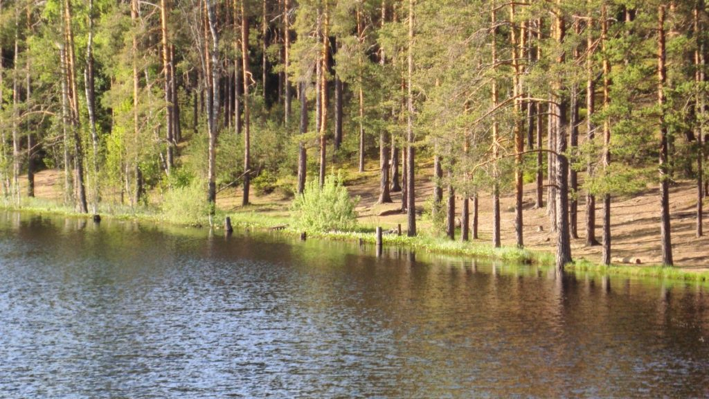 Большой Теренкуль