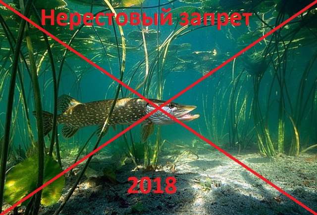 Нерестовый запрет 2018