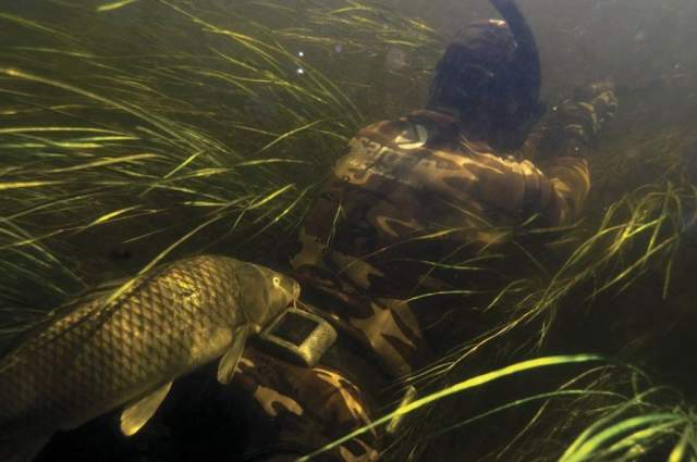 Виды подводной охоты