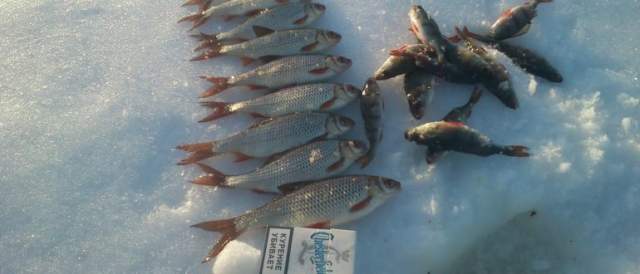 Ловля чебака в конце зимы